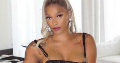 Joseline Hernandez Net Worth 2022