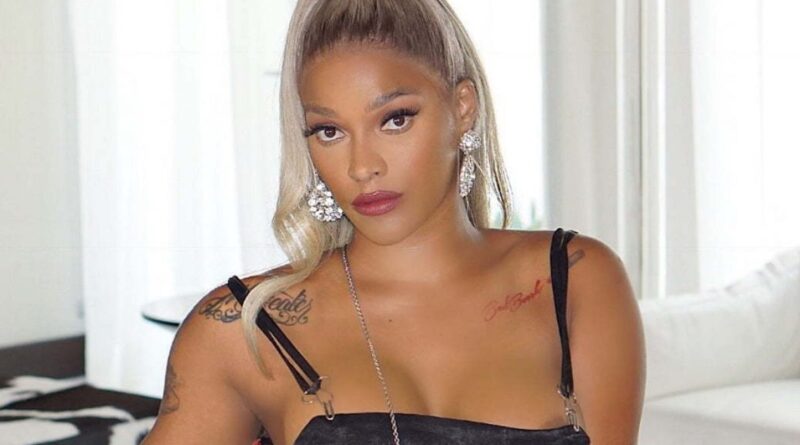 Joseline Hernandez Net Worth 2022