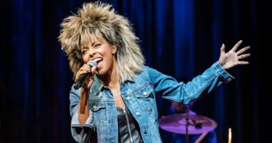 Tina Turner net worth 2023 .