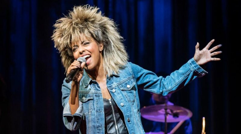 Tina Turner net worth 2023 .